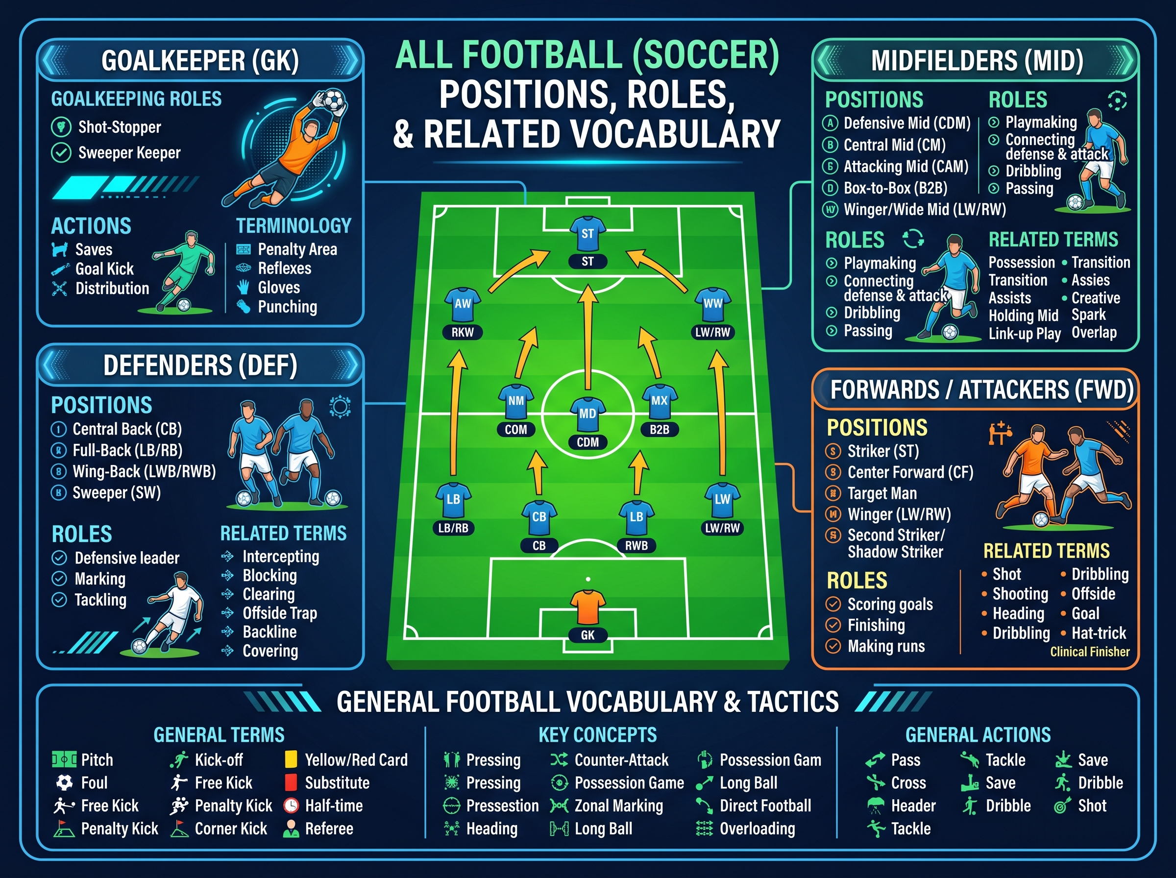 Infographic: vị trí bóng đá, vai trò và từ vựng tiếng Anh (Goalkeeper, Defenders, Midfielders, Forwards)